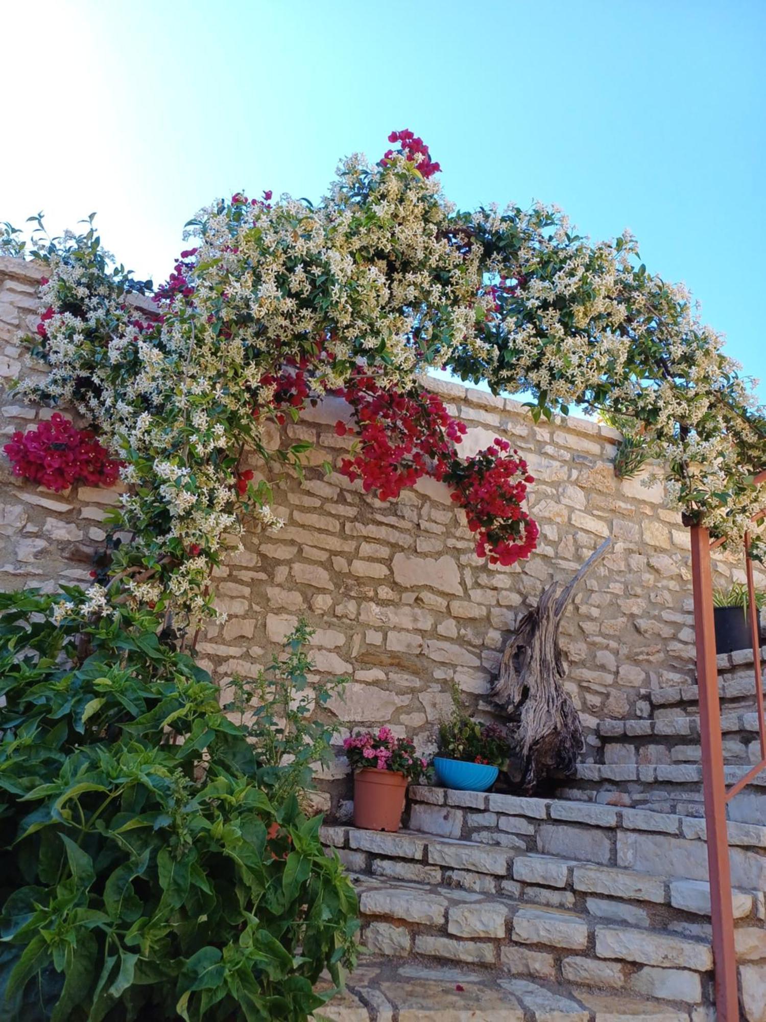 Villa Porta Qeparo Exterior photo